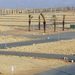 تنسيق-حكومي-لشمول-أسر-الشهداء-بمبادرة-"المليون-قطعة-أرض"