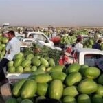 بينها-اللحوم.-العراق-يمنع-استيراد-33-مادة-غذائية