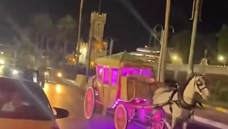حصان-يهرب-بعروسين-وينقلب-في-مشهد-غير-متوقع